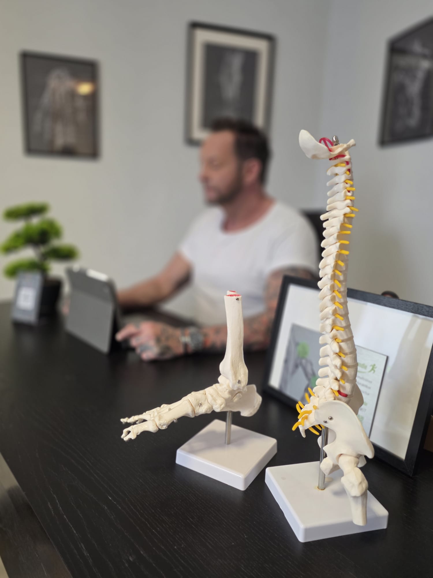 Naturheilpraxis Recklinghausen - Anatomische Modelle