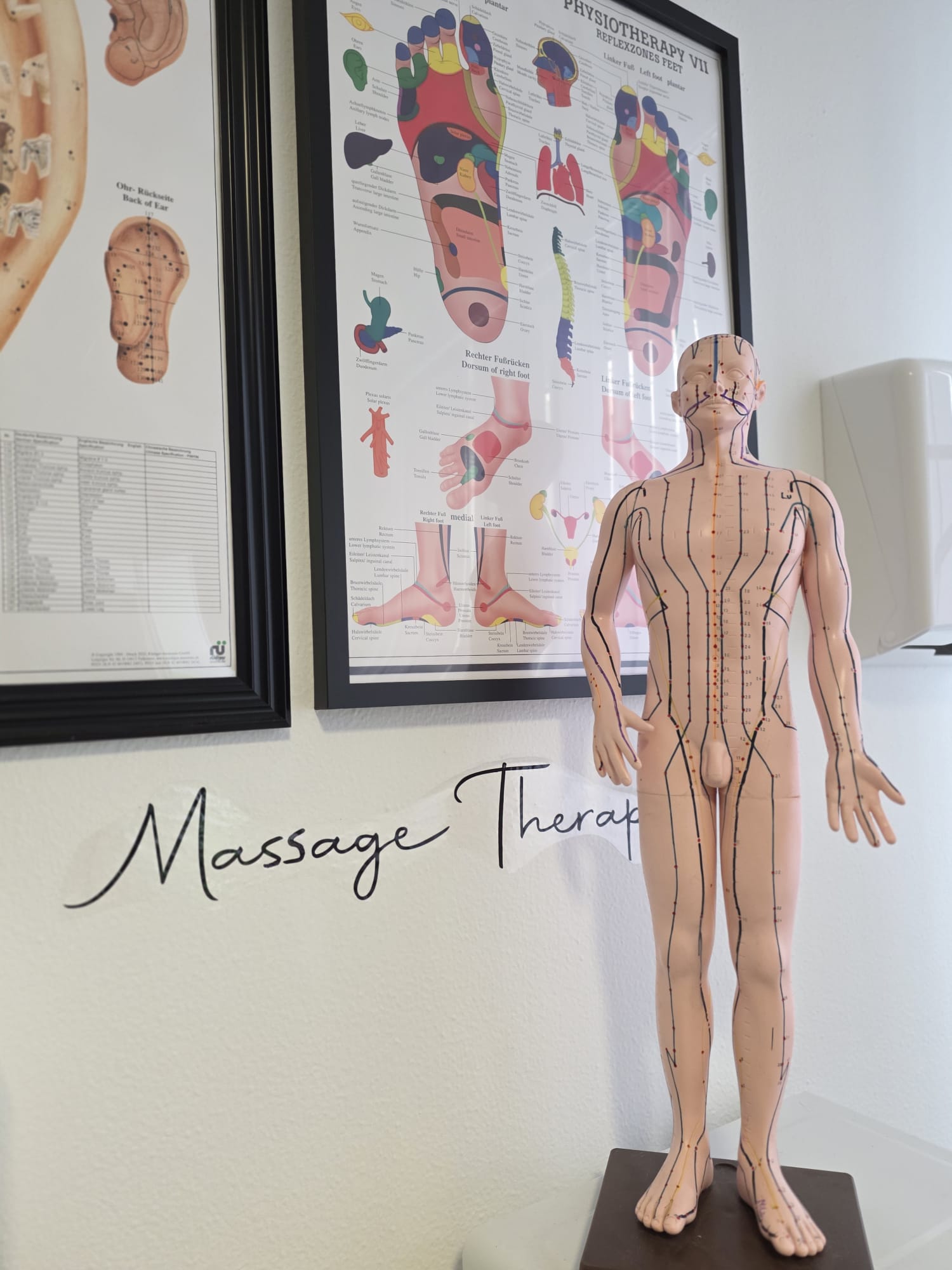 Akupunktur Recklinghausen - Reflexzonen und Meridiane